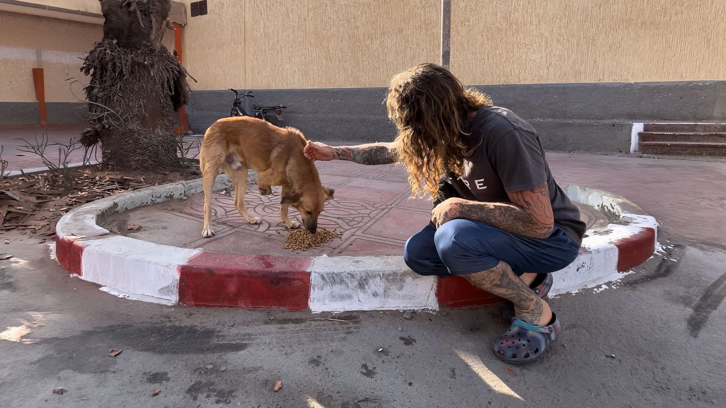 Jamie Leibert crouching to feed a stray dog in Jordan during the Captain Manicorn mission